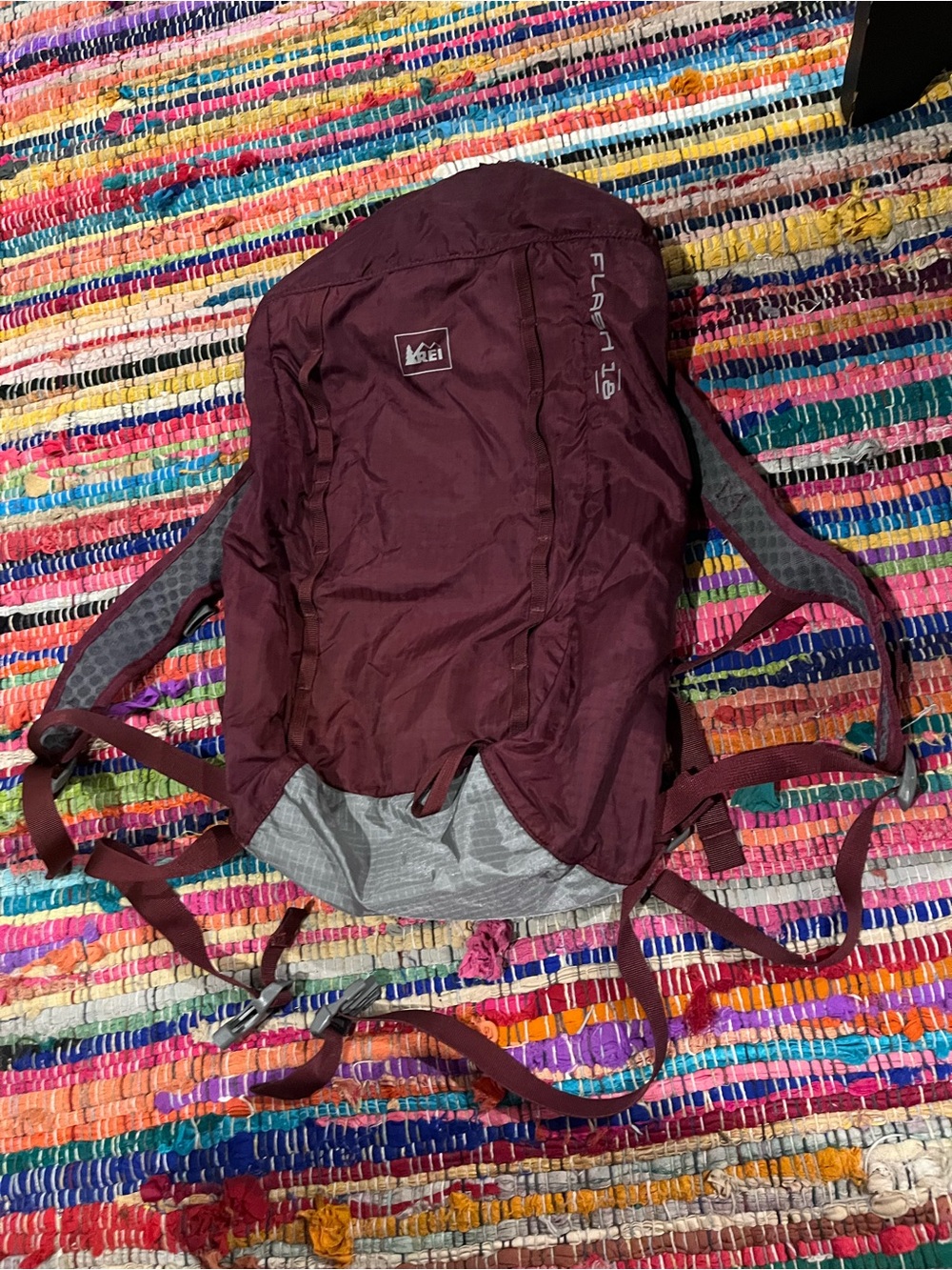 REI daypack